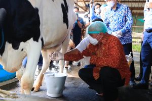 Kunjungi PESAT KPC, Gubernur Apresiasi Pemanfaatan Lahan Bekas Tambang