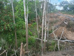 Penambang Ilegal Ancam Masa Depan Anak-Anak, Kepsek SDN 021 Loa Kulu Laporkan ke Polisi