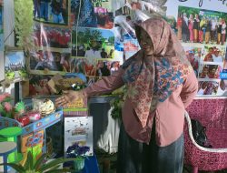 Kreatif dengan Bahan Bekas, Karya-Karya Siswa SDN 005 Tenggarong yang Menginspirasi