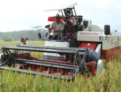 Desa Rapak Lambur Diproyeksi Jadi Lumbung Pangan untuk Kukar