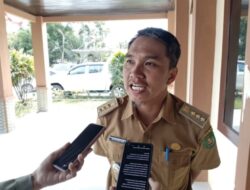 Lada Batu Ampar Alami Mati Suri, Petani Beralih ke Nanas karena Harga Tak Lagi Menguntungkan